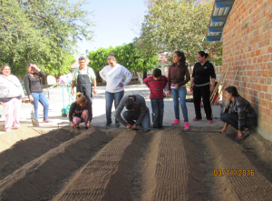 Imagen7